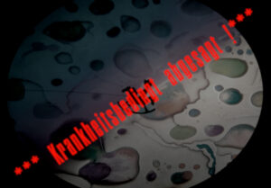 Flyer Picture Black 1neu – Kopie