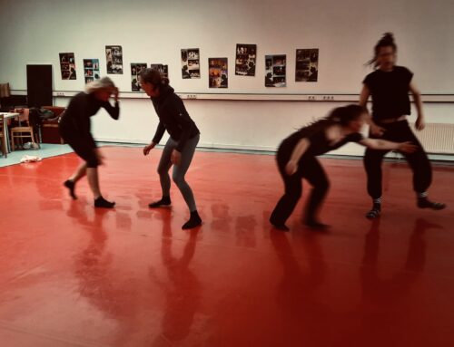 Tanzworkshop im Juni – Tanzpakt